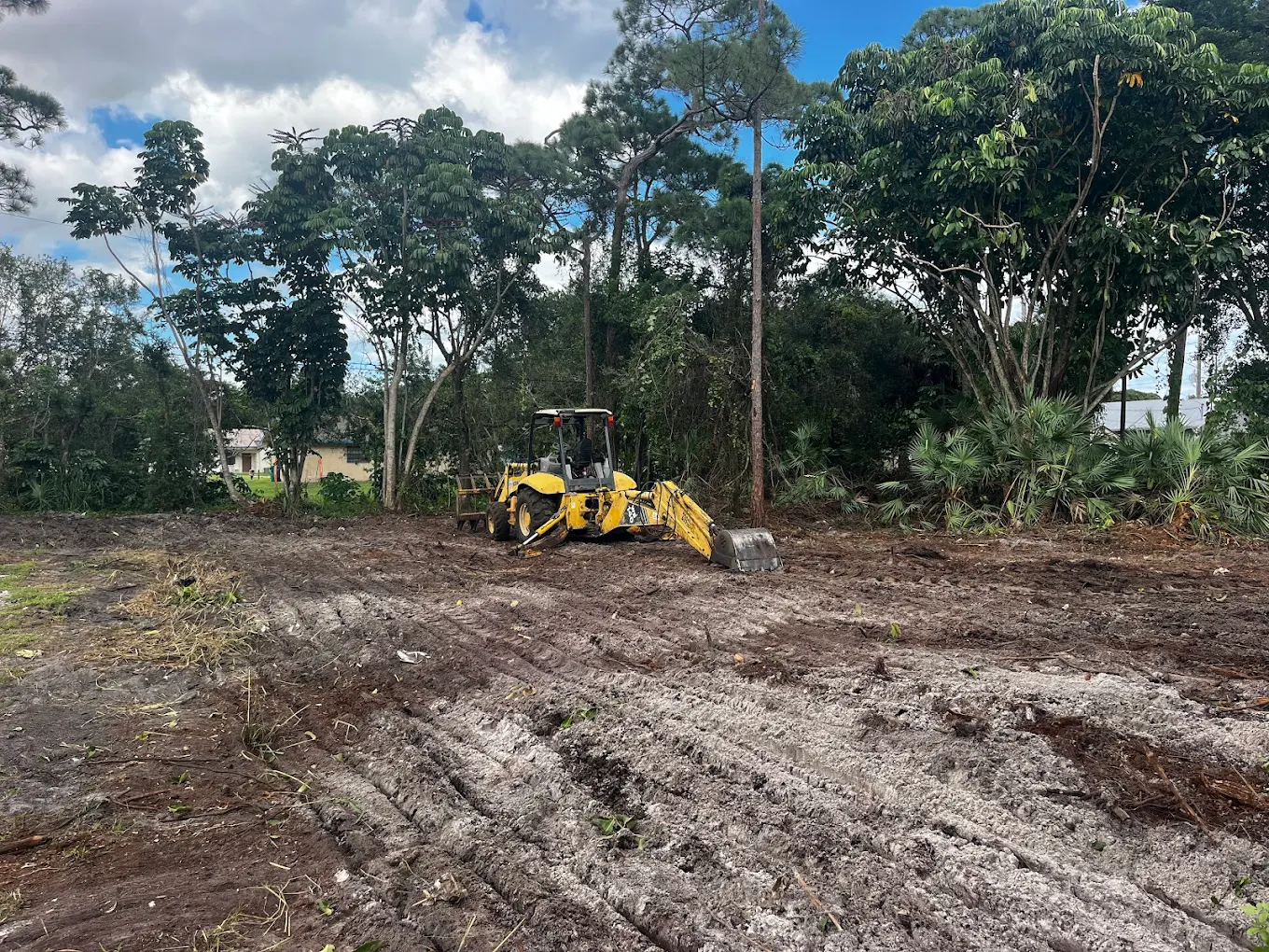 Residential tree service in Trenton, Florida