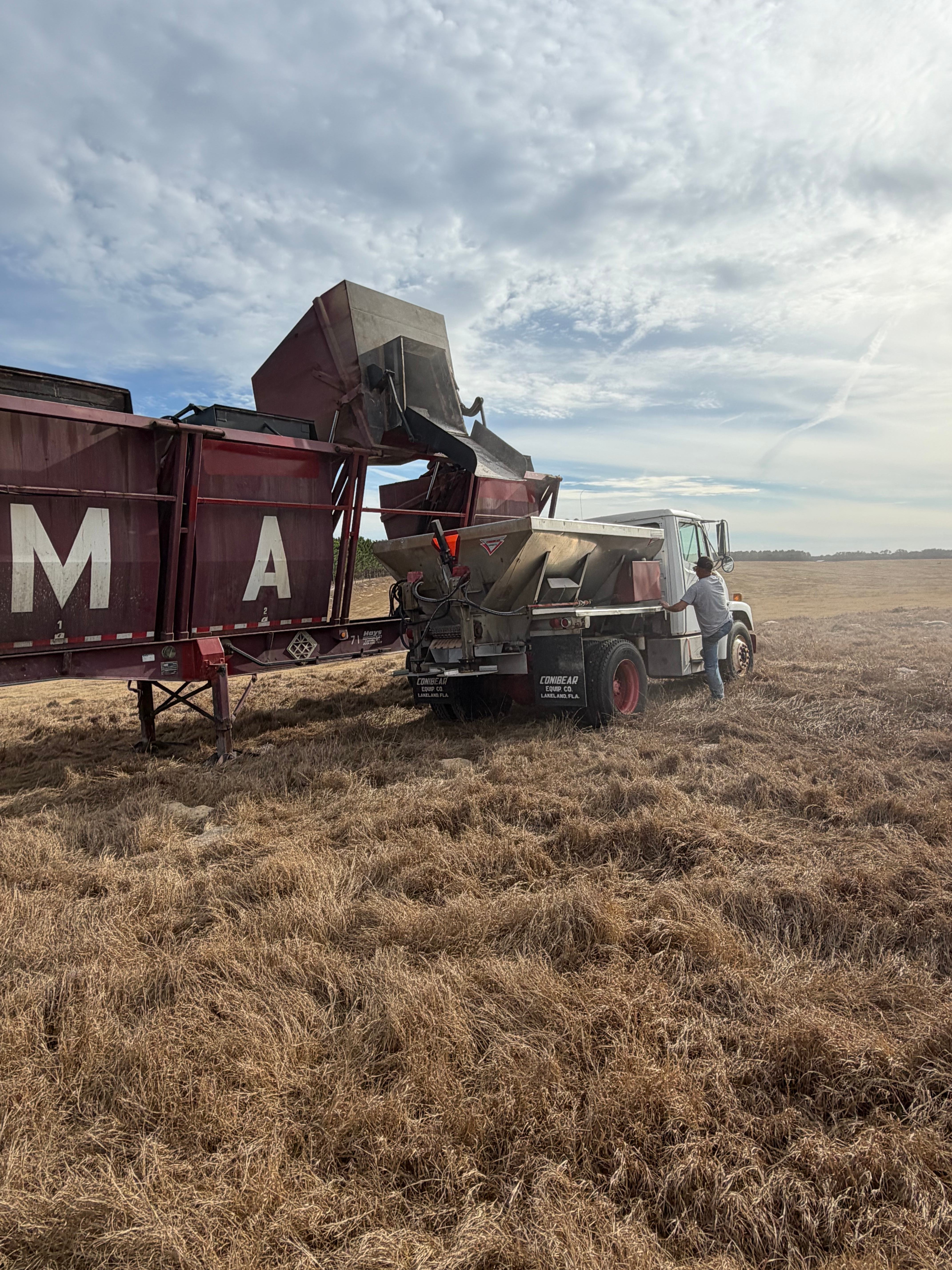 5B Land Clearing professional equipment and services